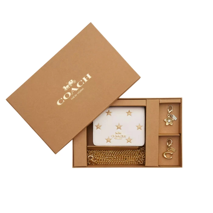 کیف مینی کوچ همراه با زنجیر و آویز اختصاصی (Coach Mini Bag with Chain and Exclusive Charm) - تصویر 3