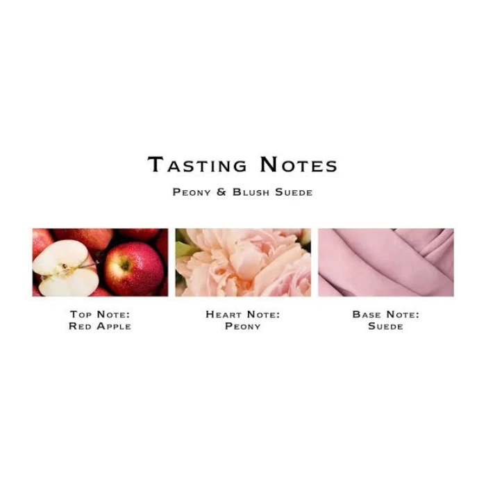 عطر مینی ادو کلون لاندن پیونی جو مالون (Jo Malone London Peony & Blush Suede Cologne Mini) - تصویر 2